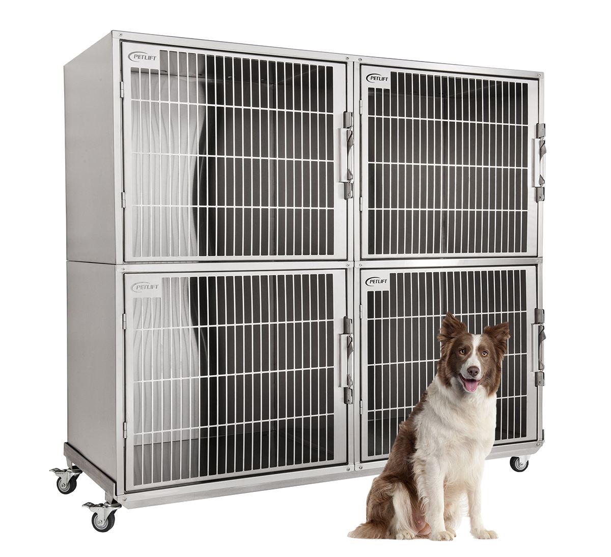 stainless steel kennel cages