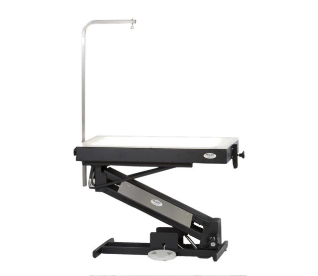 MasterLift LowRider Lighted Top Electric Grooming Table PetLift